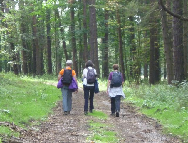 Walking in Manor Woods